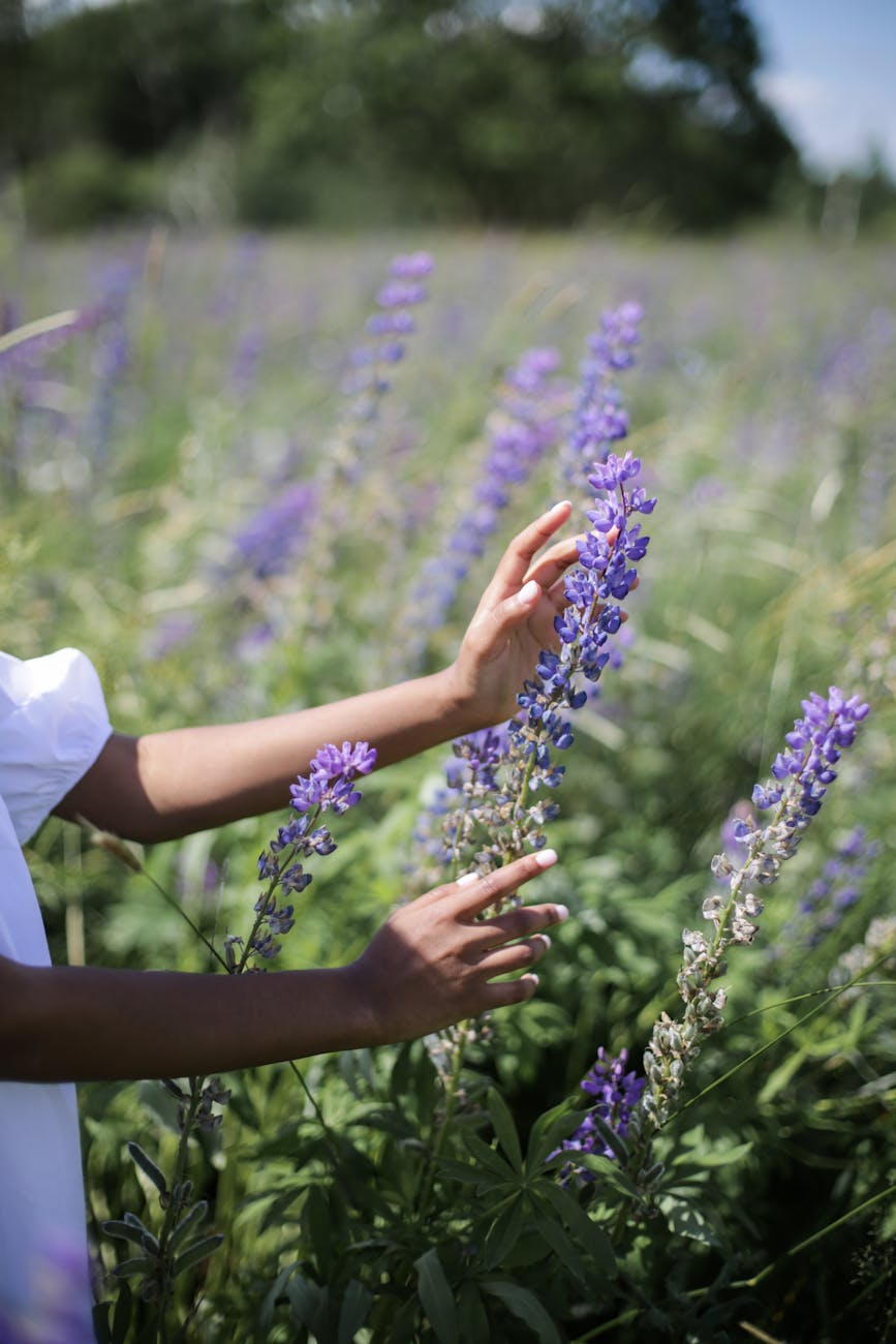 purple flowers on persons hand